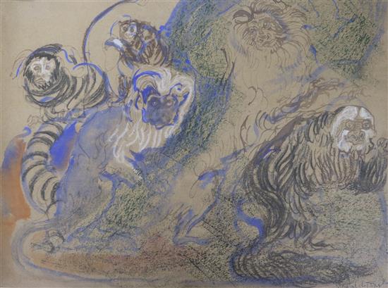 Feliks Topolski, mixed media, study of Golden Tamarind Monkeys, signed, 33 x 40cm